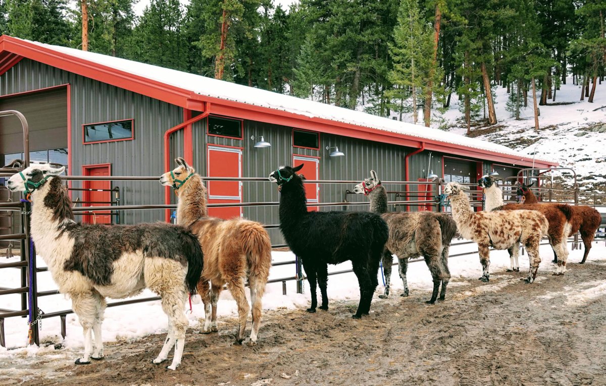 10 Things LabJack Enjoys More Than Sending Emails