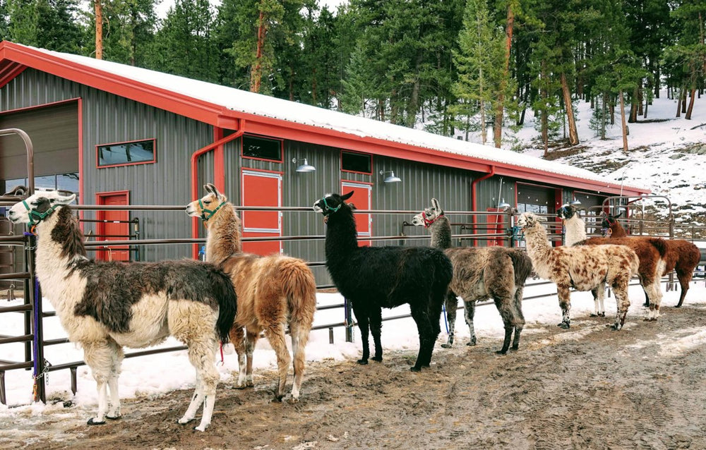 10 Things LabJack Enjoys More Than Sending Emails